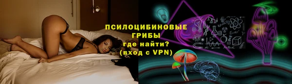 прущая мука Дмитриев