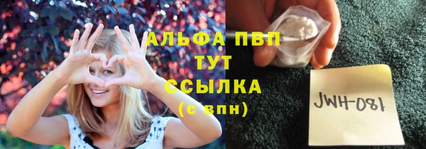 прущая мука Дмитриев