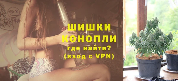 прущая мука Дмитриев